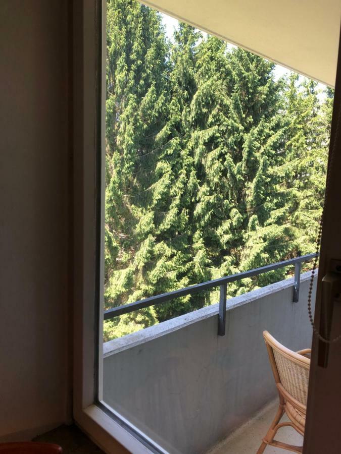 Relax 1 Apartment Goslar Ngoại thất bức ảnh